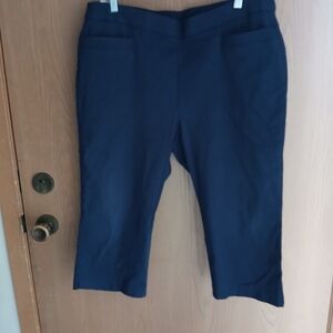 Phrophecy Blue Capri Pants